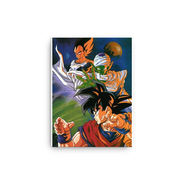 Canvas Frame